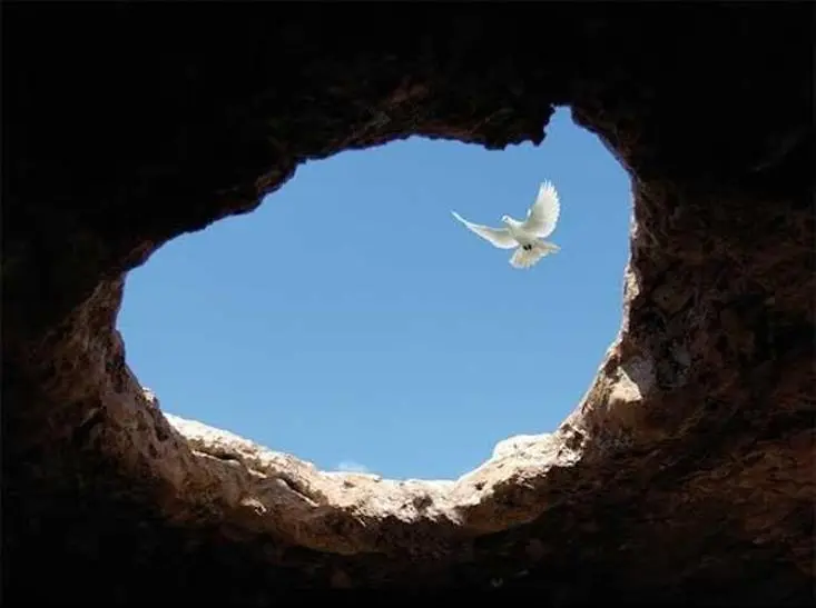 Giorno del Ricordo 10 Febbraio 2026